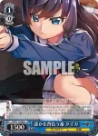 GRI/S112-087S SR “美浜学園” タイガ