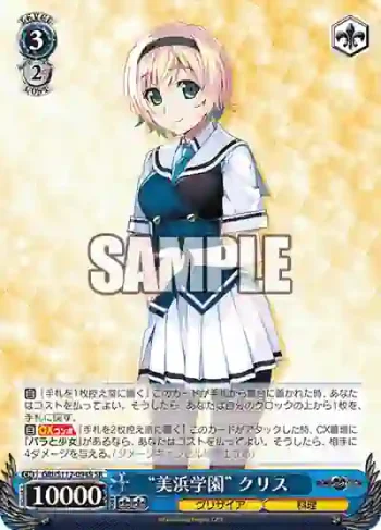 GRI/S112-094S SR “美浜学園” クリス