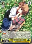 GRI/S72-008S SR 懺悔の果実 蒔菜