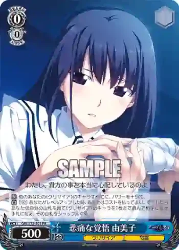 GRI/S72-101 PR 悲痛な覚悟 由美子