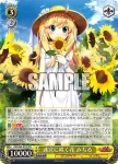 GRI/S84-003 RR 迷宮に咲く花 みちる