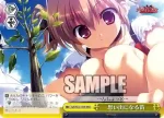 GRI/S84-034 CC 天才の休日
