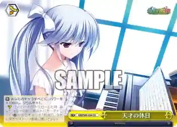 GRI/S84-034 CC 天才の休日