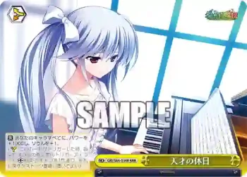 GRI/S84-034R RRR 天才の休日