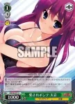 GRI/S84-050 U 薄暮の誓い 蒔菜
