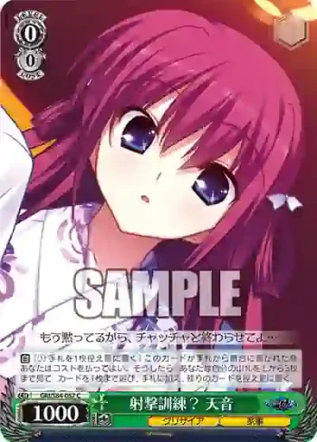 GRI/S84-057 C 射撃訓練？ 天音