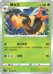 S9aF 010/067 畢力吉翁V(強化擴充包「對戰地區」)