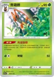 S12aF 011/172 葉伊布V(高級擴充包「天地萬物VSTAR」)
