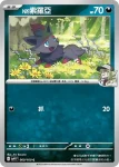 SV9F 061/100 N的索羅亞克ex(擴充包「對戰搭檔」)