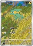 SV9aF 072/063 <小霞的>拉普拉斯(強化擴充包「熱風競技場」)