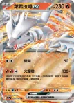 M2aF 028/193 N的達摩狒狒(高級擴充包「超級進化夢想ex」)