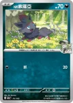 M2aF 111/193 N的索羅亞(精靈球標誌)(高級擴充包「超級進化夢想ex」)