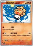 MCF 101/742 煤炭龜(閃)(初階牌組 100對戰收藏)