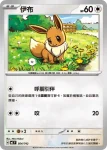 MCF 564/742 伊布(初階牌組 100對戰收藏)