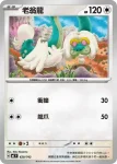 MCF 619/742 青木的樹枕尾熊(初階牌組 100對戰收藏)