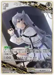 hBP01-028 C IRyS