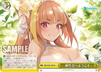 HOL/W91-030 CR 桐生会へようこそ