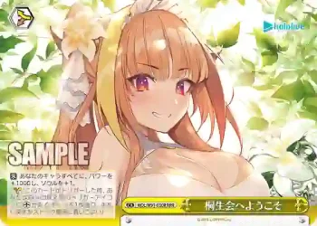 HOL/W91-030R RRR 桐生会へようこそ