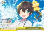 HOL/W91-032R RRR Summer memory