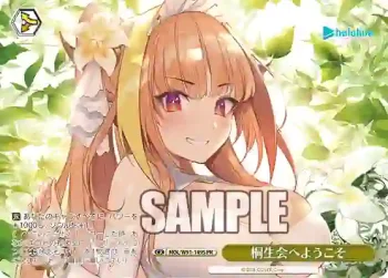HOL/W91-149S PR 桐生会へようこそ