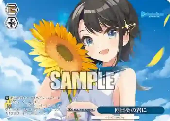 HOL/W91-170S PR 向日葵の君に