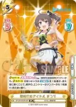 HP/001B-031SP_1 SP 新時代のアイドル まつり