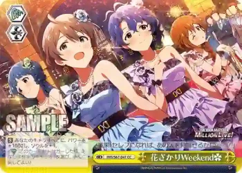 IMS/S61-041 CC 花ざかりWeekend✿
