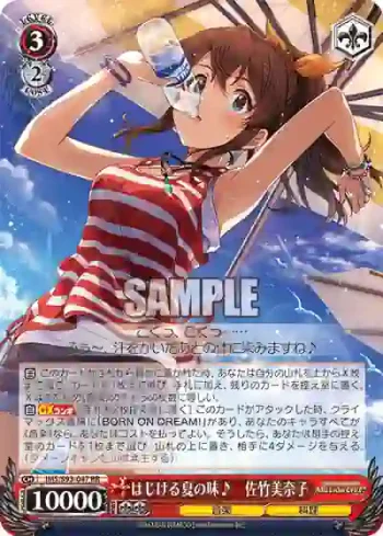 IMS/S93-047 RR はじける夏の味♪　佐竹美奈子