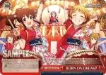IMS/S93-079 CR BORN ON DREAM!