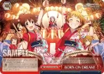 IMS/S93-079 CR BORN ON DREAM!