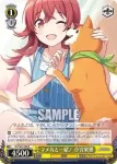 (簽名)ISC/S81-005SSP SSP 金色の元気いっぱいガール 八宮めぐる