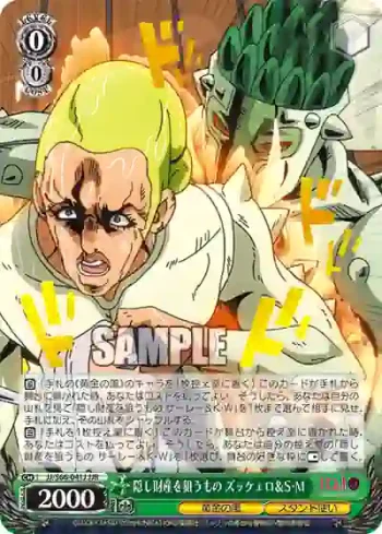JJ/S66-041J JJR 隠し財産を狙うもの ズッケェロ＆S・M