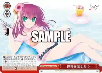 Kab/W102-072R  世界を楽しもう