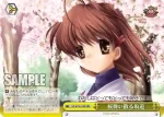 Kcl/W78-039 CR 桜舞い散る坂道
