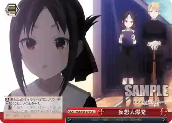 KGL/S95-074 CC 妄想大爆発