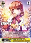Kka/W102-005  小さな奇跡の物語 あゆ