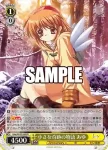 Kka/W102-005  小さな奇跡の物語 あゆ