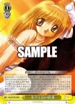 Kka/W102-028  最後の願い