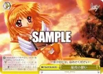 Kka/W102-028  最後の願い