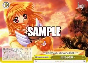 Kka/W102-028  最後の願い