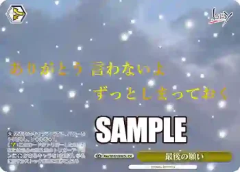 Kka/W102-028KSC  最後の願い