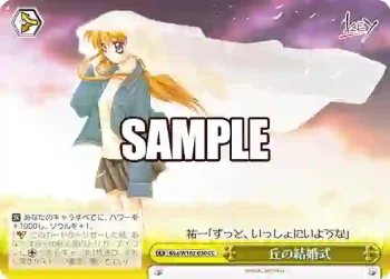 Kka/W102-030  丘の結婚式
