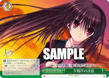 Klb/W102-048  夕焼けの決意