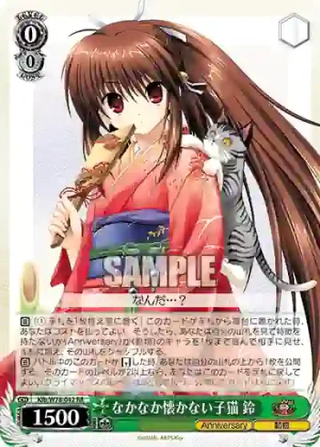 Klb/W78-042 RR なかなか懐かない子猫 鈴