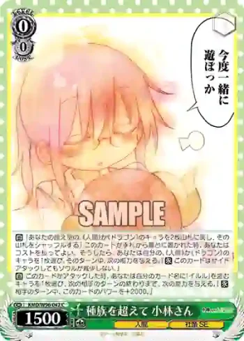 KMD/W96-042 C 種族を超えて 小林さん