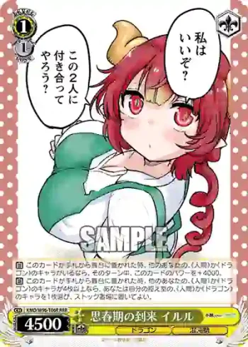 KMD/W96-T06R RRR 思春期の到来 イルル