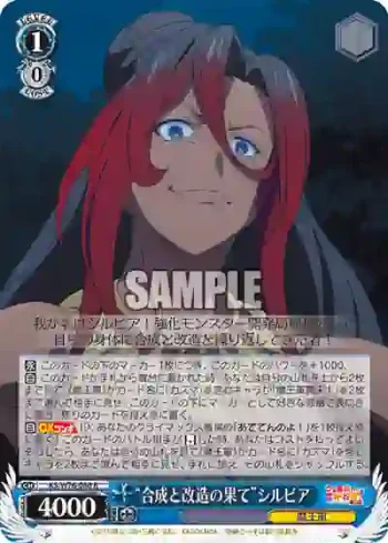 KS/W76-080 R “合成と改造の果て”シルビア