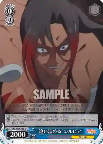 KS/W76-090 C “追い詰める”シルビア