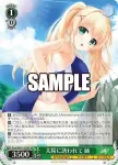 Ksm/W102-037  ひげ猫団 鴎