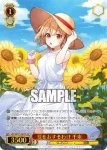 LRC/WE47-20 N 夏をおすそわけ 千束